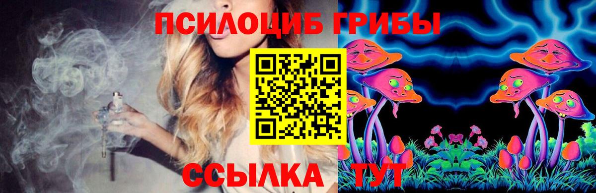 Псилоцибиновые грибы MAGIC MUSHROOMS  Вход с VPN  Егорьевск 
