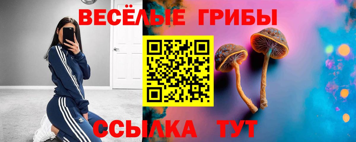 Псилоцибиновые грибы Psilocybine cubensis Егорьевск
